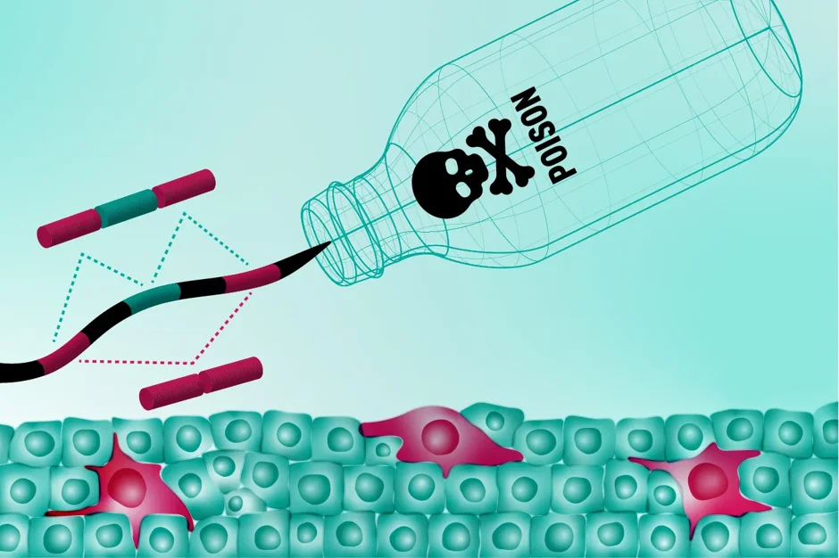 Alternative RNA splicing: The special effects editing of gene expression