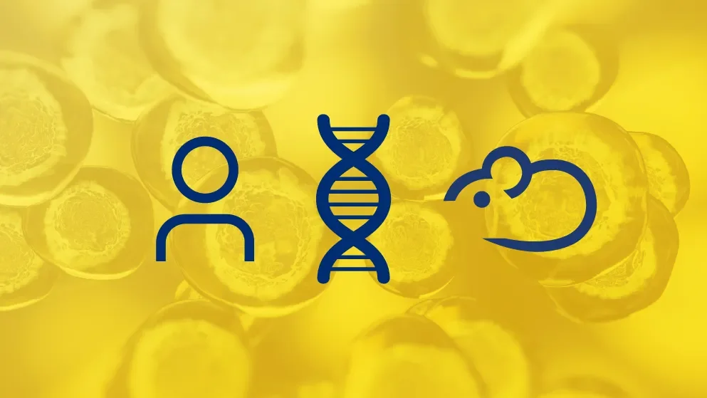 CD34+ Hematopoietic Stem Cell Humanized Mice: The Basics