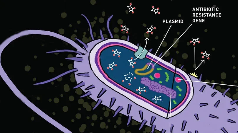 When the superbug uprising occurs, will we be prepared?