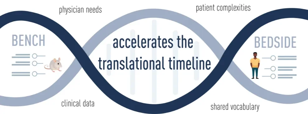 From bench to bedside and back again: Bridging the gap for translational research success