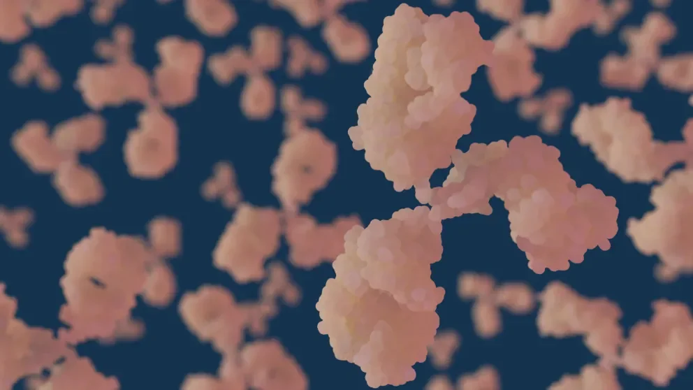 The Jackson Laboratory and AbTherx Announce Partnership to Enhance Therapeutic Antibody Discovery