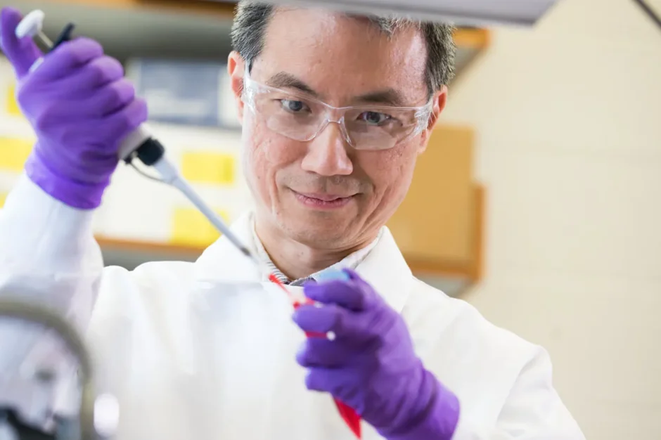 Helping the immune system fight cancer