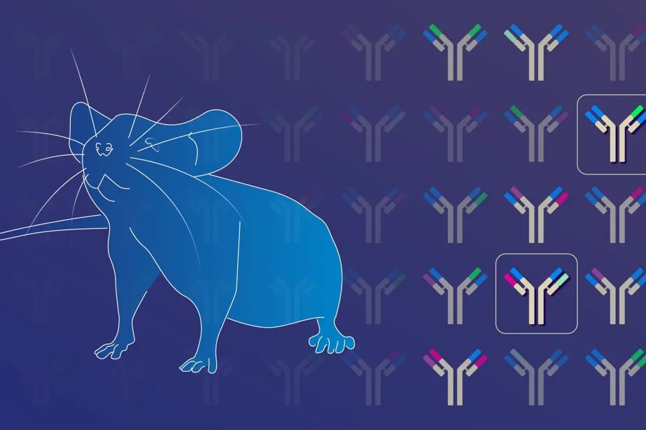 Next generation transgenic mice for antibody discovery are here!