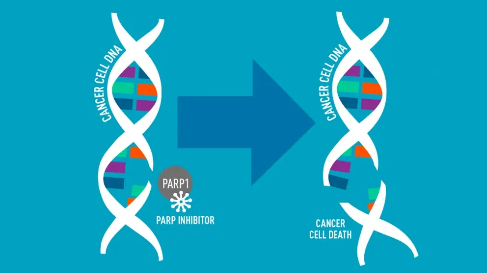 How do I get from here to there? Navigating precision medicine in cancer