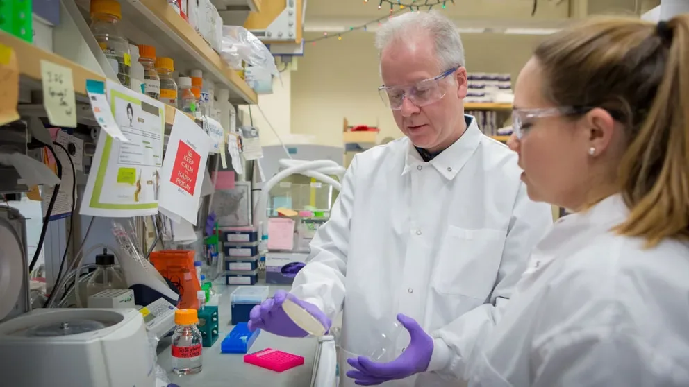 Developing better gene editing technology