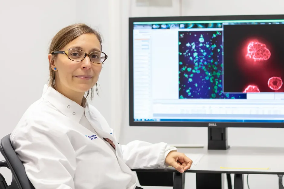 Unlocking the secrets of endometriosis one cell at a time