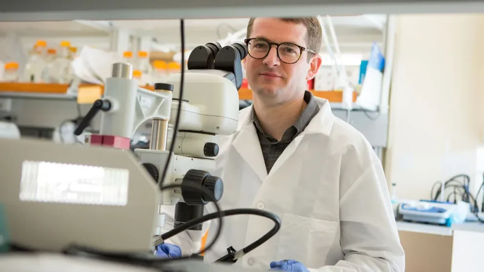 Building the mirror-image arrangement of sensory hair cells