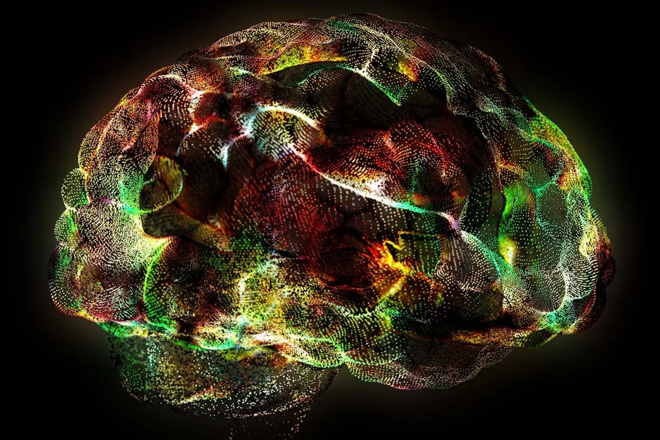 Using new disease models to investigate a common risk factor for Alzheimers