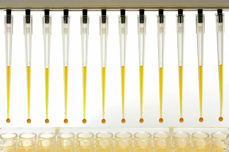 Hold the Agarose! Advanced PCR Methods for Genotyping Mice