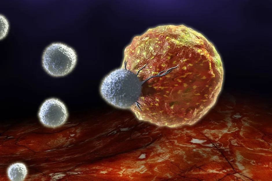 Immune system 2.0: Can we re-engineer the human immune response?
