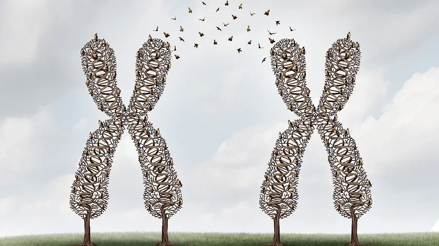 Not all eggs in one basket: genetic alternatives regulating meiotic recombination