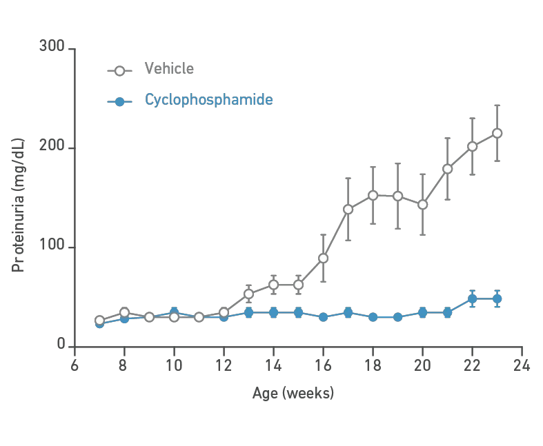 MRL-Lpr Model (000485) - Proteinuria Analysis