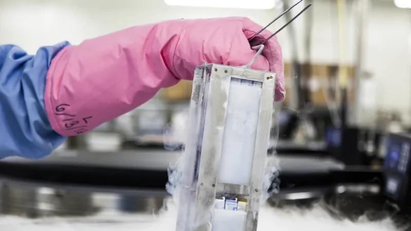 The Jackson Laboratory - Mouse Cryorecovery