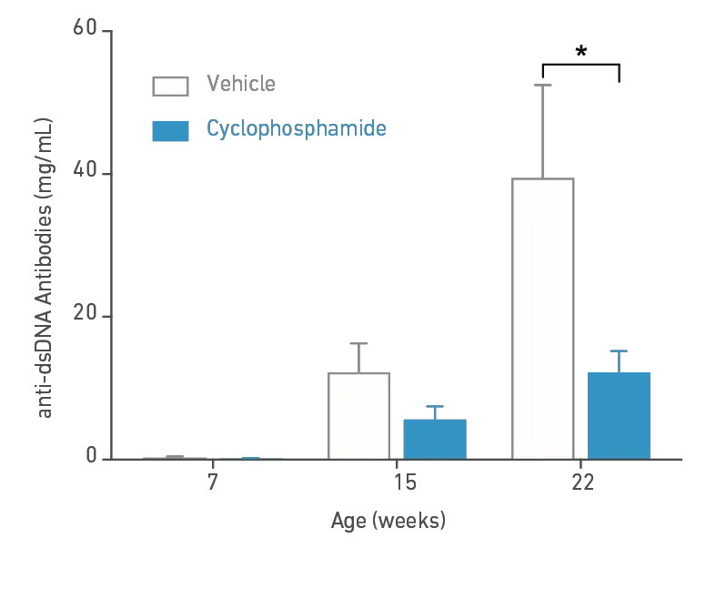 MRL-Lpr Model (000485) - Anti-dsDNA Antibody Concentration in Sera