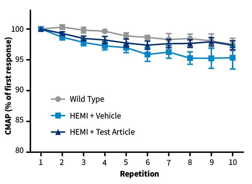 Repetitive Nerve Stimulation (RNS) - SOD1-G93A mice (blue and navy) show decreased CMAP values compared to non-carrier controls (grey) during RNS, indicative of reduced neuromuscular junction transmission between muscle fibers and motor neurons (prior to disease onset)