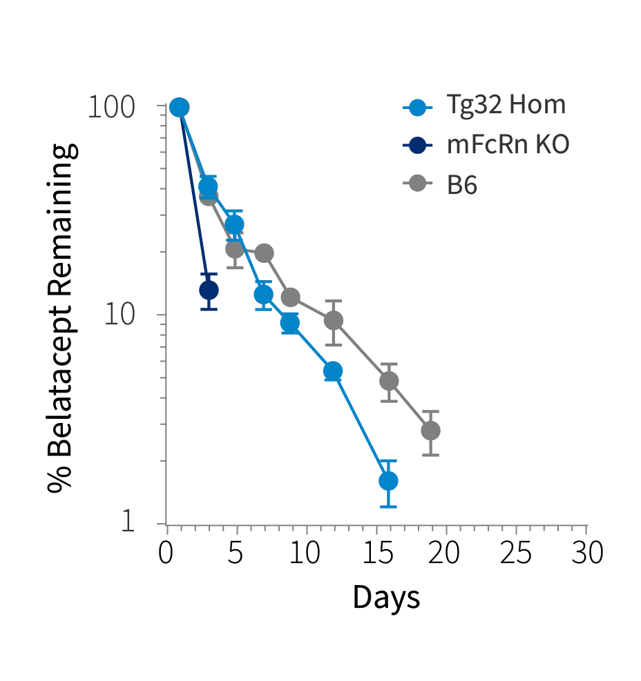Figure 1a: Plasma concentration time plot of Belatacept at single intravenous dose at 10mg/kg in Tg32 Hom (014565), mFcRn KO mice and C57BL/6J mice (000664)