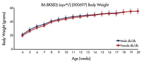 Figure 3. Weekly body weight of male and female B6.BKS(D)-Leprdb/J homozygotes (db/db).