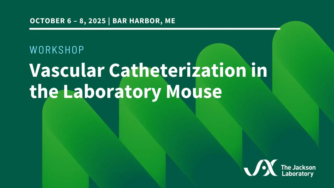THUMBNAIL_Vascular Catheterization in the Laboratory Mouse - 1