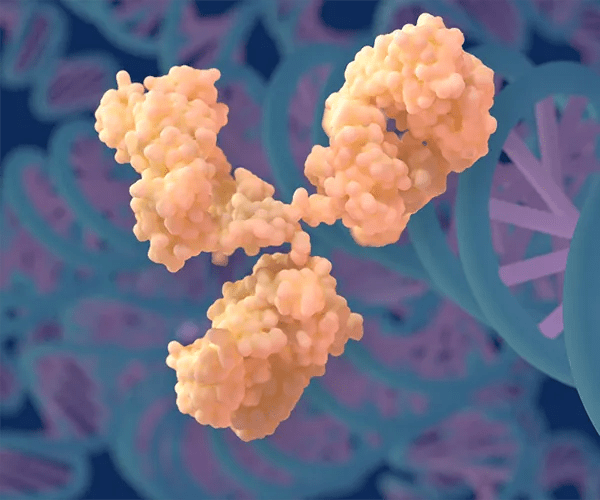 Humanized Mice - Biopharmaceutical Research