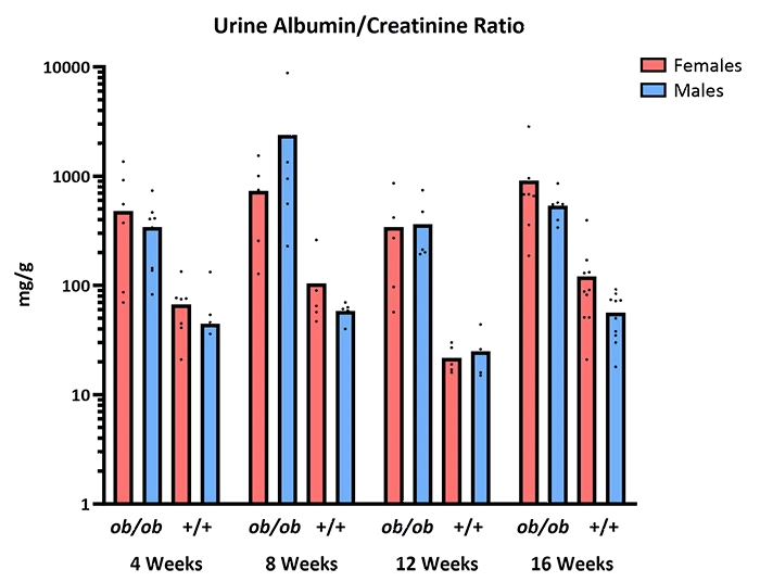 Mouse Phenotype Info - Urinalysis - JAX® Mice Strain BTBR-Ob (004824)