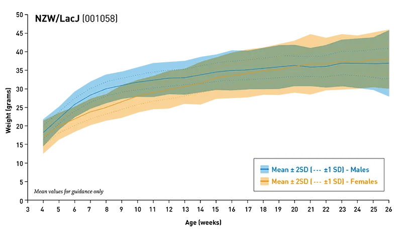 Body Weight Information for JAX® Mice Strain NZW (001058)