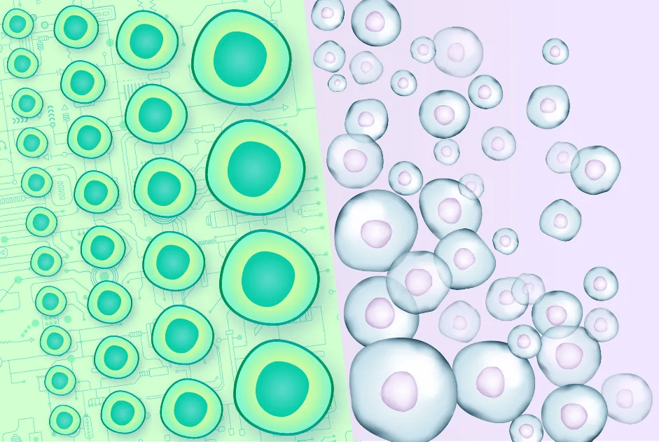 Engineered vs. Patient-Derived iPSCs: Strengths, Limitations, and Applications