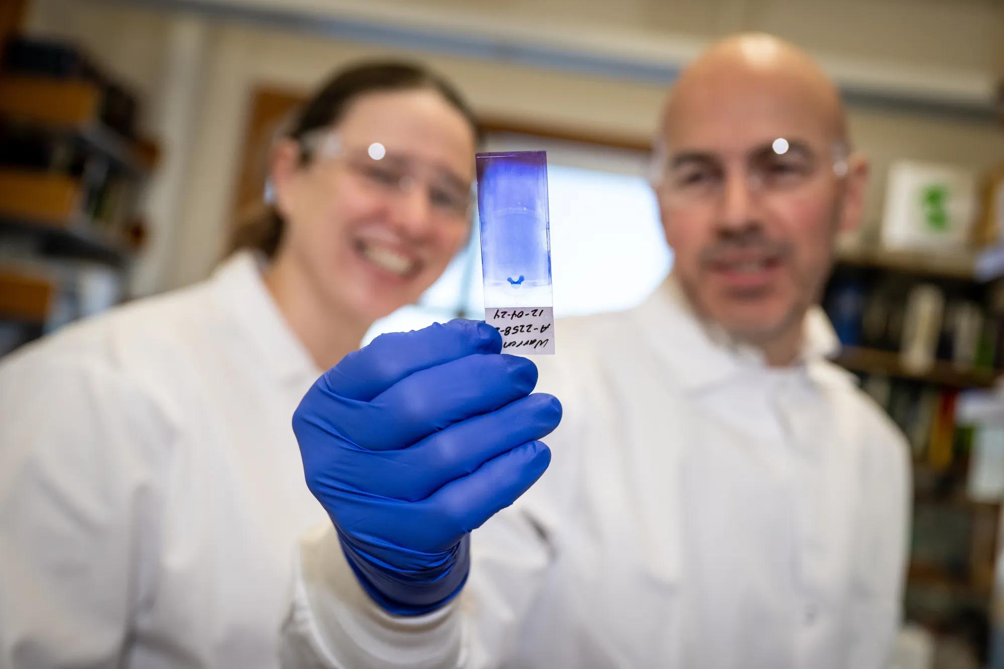Aleksandra Aljakna Khan, Ph.D. and Ron Korstanje, Ph.D.