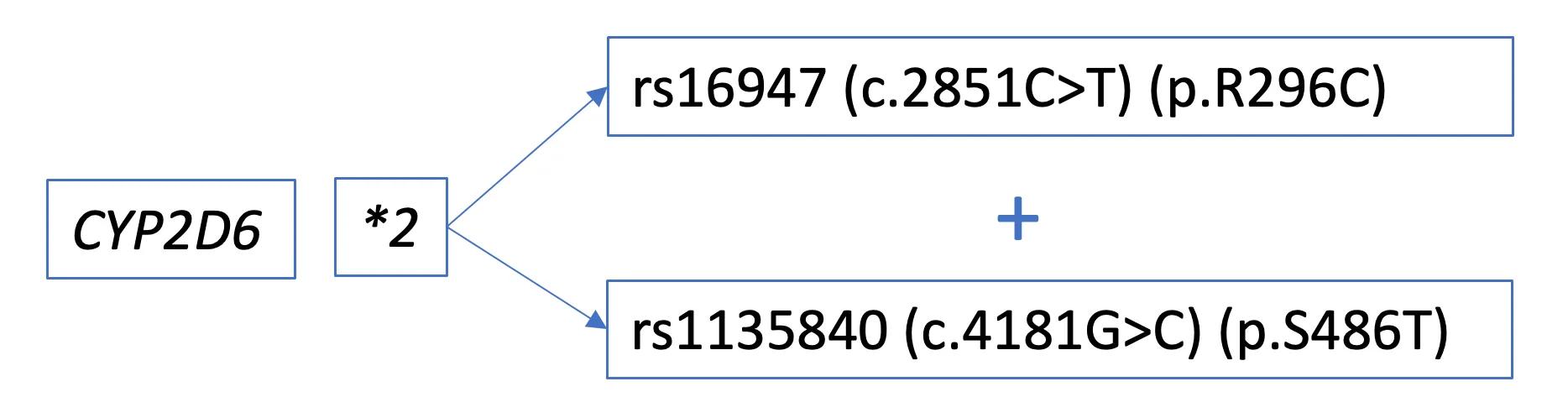 DNA Variants