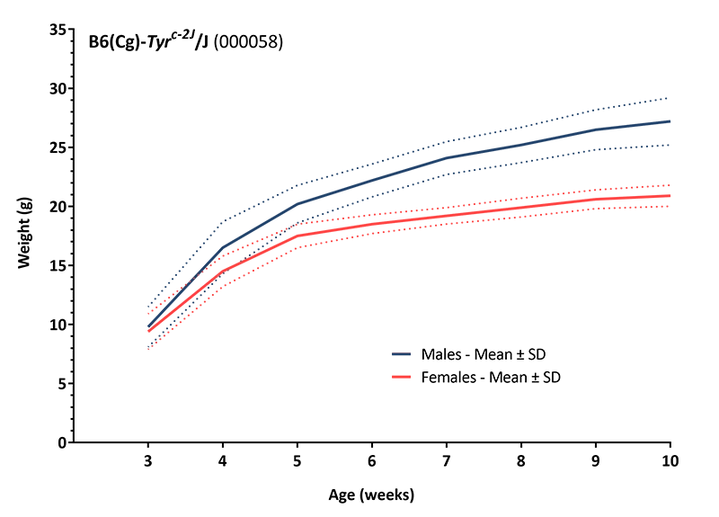 Body Weight Information for JAX® Mice Strain B6(Cg)-Tyrc-2J/J - B6 albino (000058)