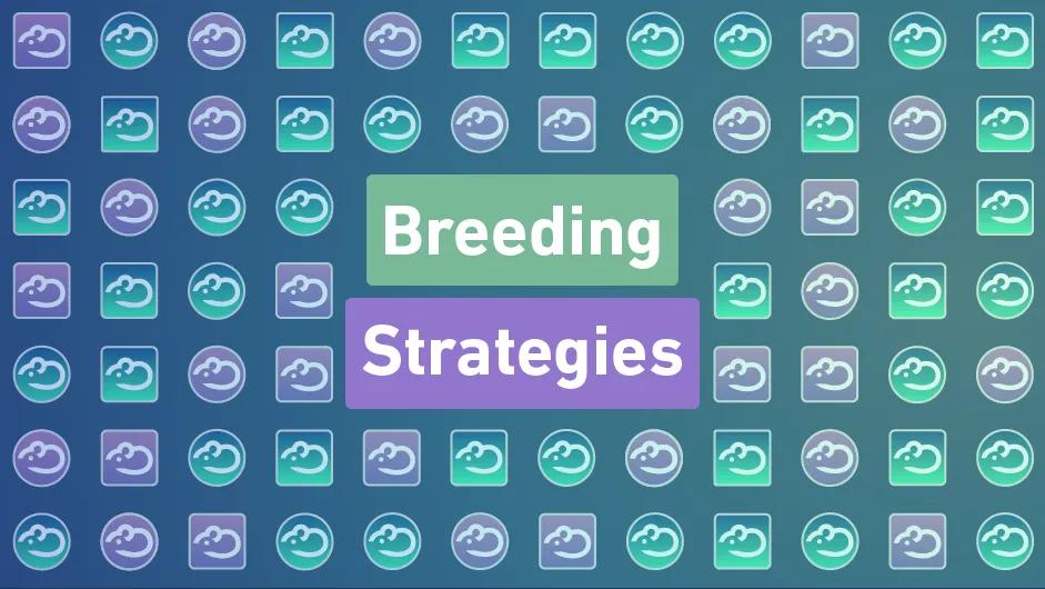 Breeding Better: Strategies for Increasing Reproductive Performance in Laboratory Mice