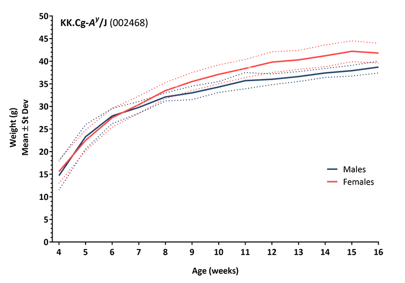 Body Weight Information for JAX® Mice Strain KKAy (002468)