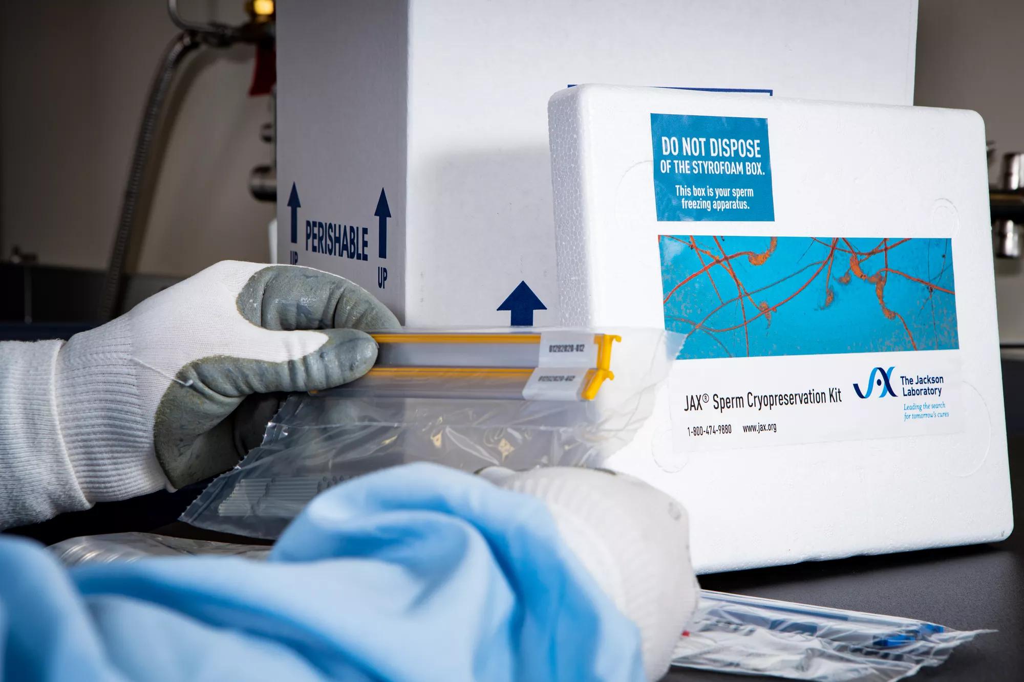 JAX - Sperm Cryopreservation Kit