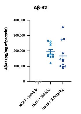 5XFAD 006554 - Beta-amyloid can be detected by Immunoassay at 9 months in 5xFAD