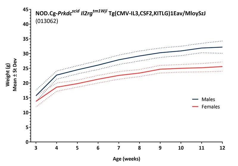 Body Weight Information for JAX® Mice Strain NSG-SGM3 (013062)