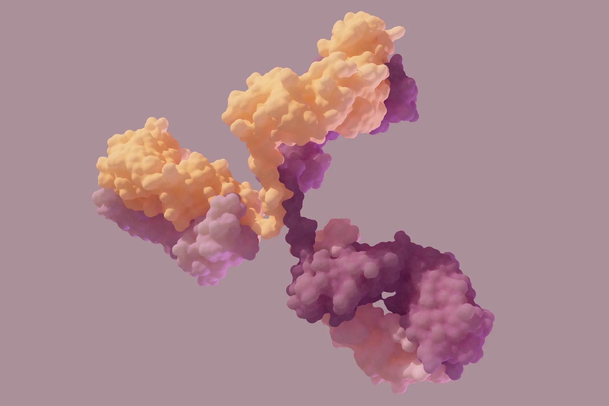 An artist’s rendering of an IgG immunoglobulin antibody — a Y-shaped protein produced by the immune system to identify and neutralize foreign invaders like bacteria, viruses, and toxins.
