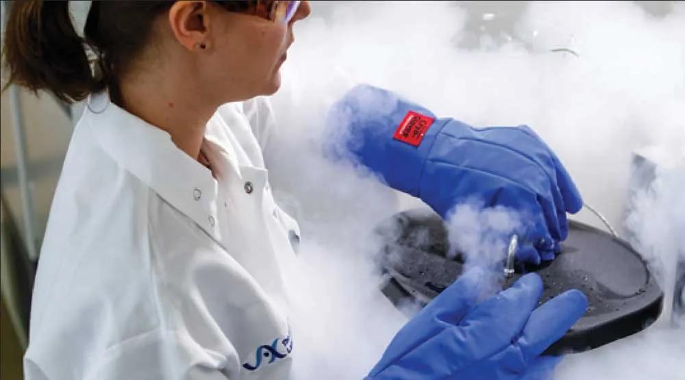 Cryopreservation of Transgenic Mice: Protect Valuable Mouse Strains and Reduce Costs