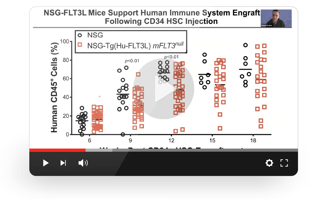 Human-Like Innate Immunity for Advanced Therapeutic Studies