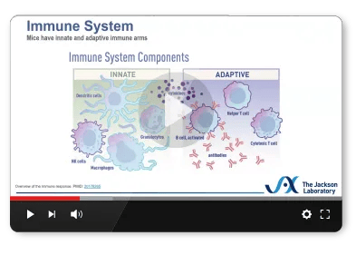 JAX Webinar - Comparing Immunodeficient Models for Cancer, Immunity, and Transplant Research