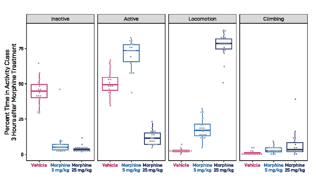 Graph representing measures of activity for time-bound video clip, three hours after control or morphine administration.