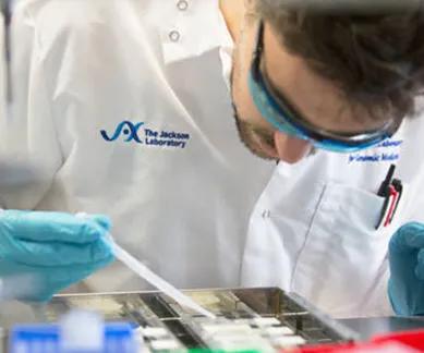 The Jackson Laboratory - Colony Expansion Services