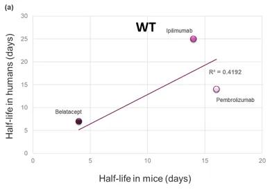 Figure 1. Comparison of the clinical serum half-life of three therapeutic antibodies with the corresponding half-life in WT mice.