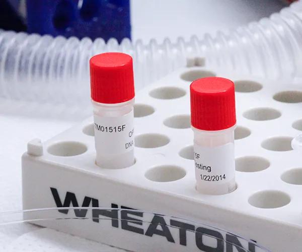 Passaged AML Splenocyte Samples