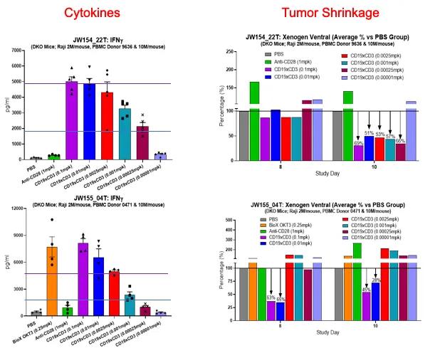 Figure 3. Anti-tumor efficacy and acute toxicity in mice humanized with PBMCs from different donors (indicated on the left) of a bispecific antibody recognizing CD19 and CD3.