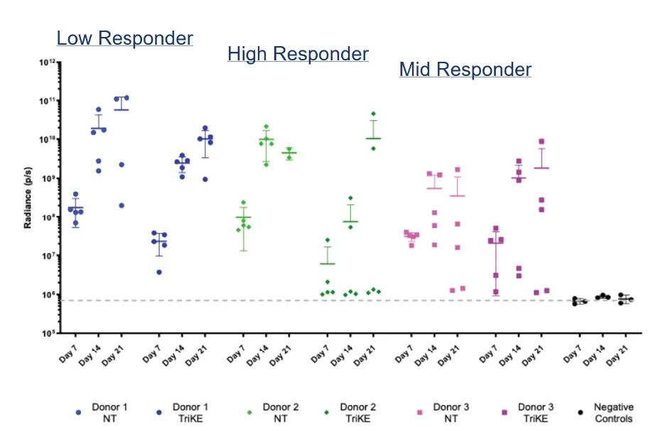 Figure 3: S15-DKO can be used to model donor variation to therapeutic responses for NK cells.