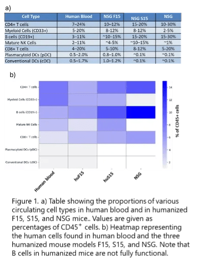 The NSG SGM3xIL15 and NSG FLT3xIL15 Humanized Mouse Models