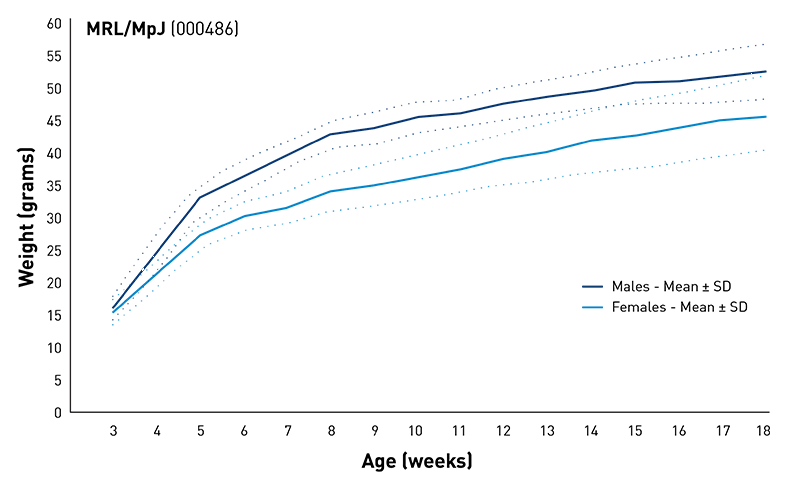 Body Weight Information for JAX® Mice Strain MRL (000486)
