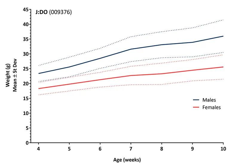 Body Weight Information for JAX® Mice Strain J:DO (009376)
