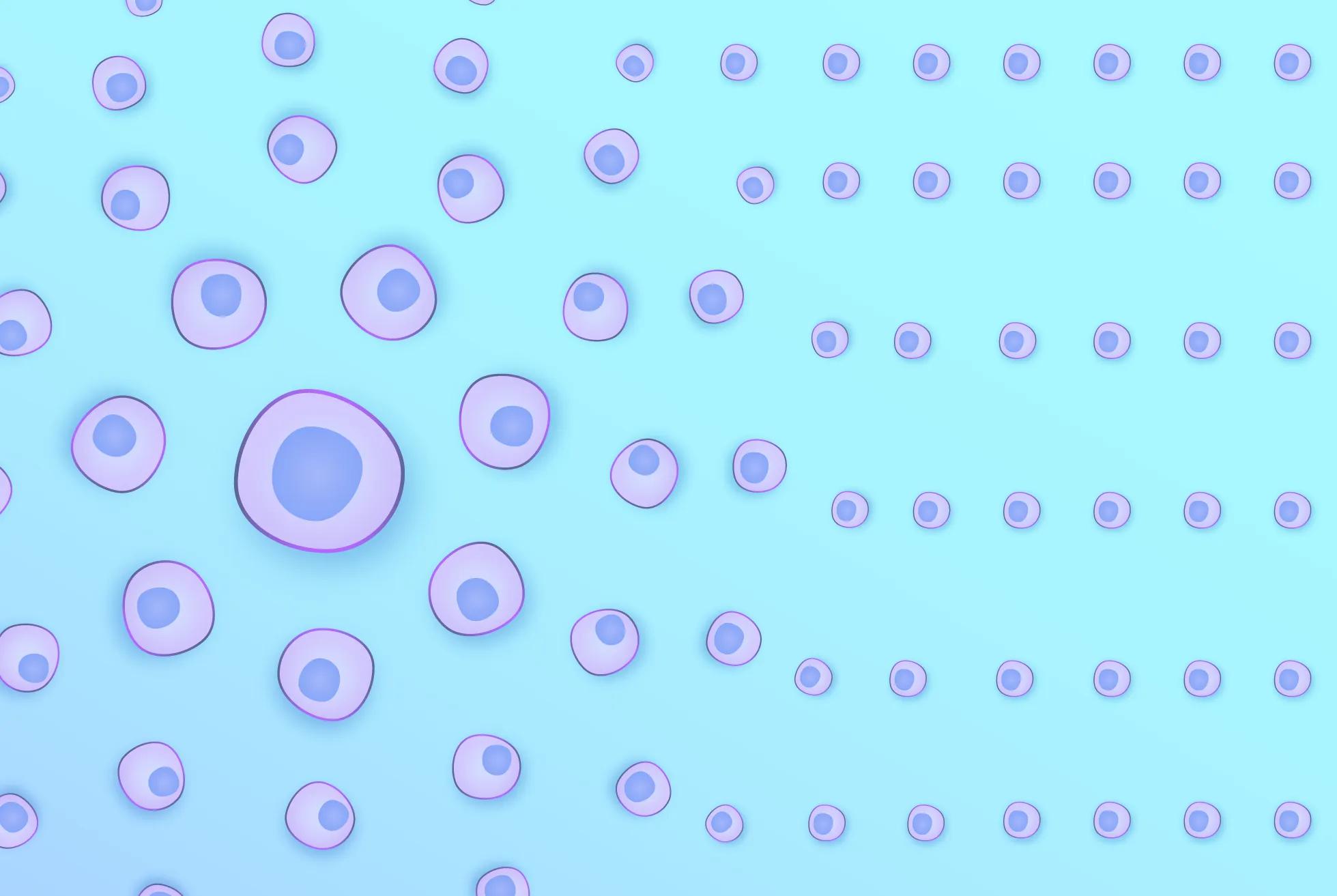 Why Clonal iPSC Lines Are Essential: Building a Foundation for Reliable and Reproducible Research