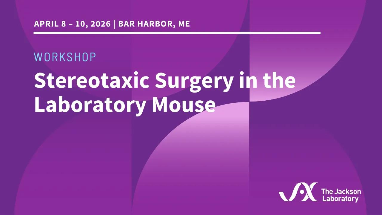 Stereotaxic Surgery Workshop_April 7-10 2026_Thumbnail