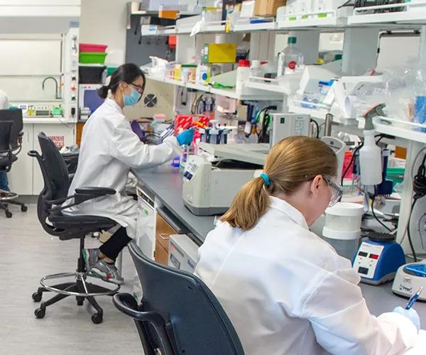 JAX Immunology Services - Immunology Efficacy Studies